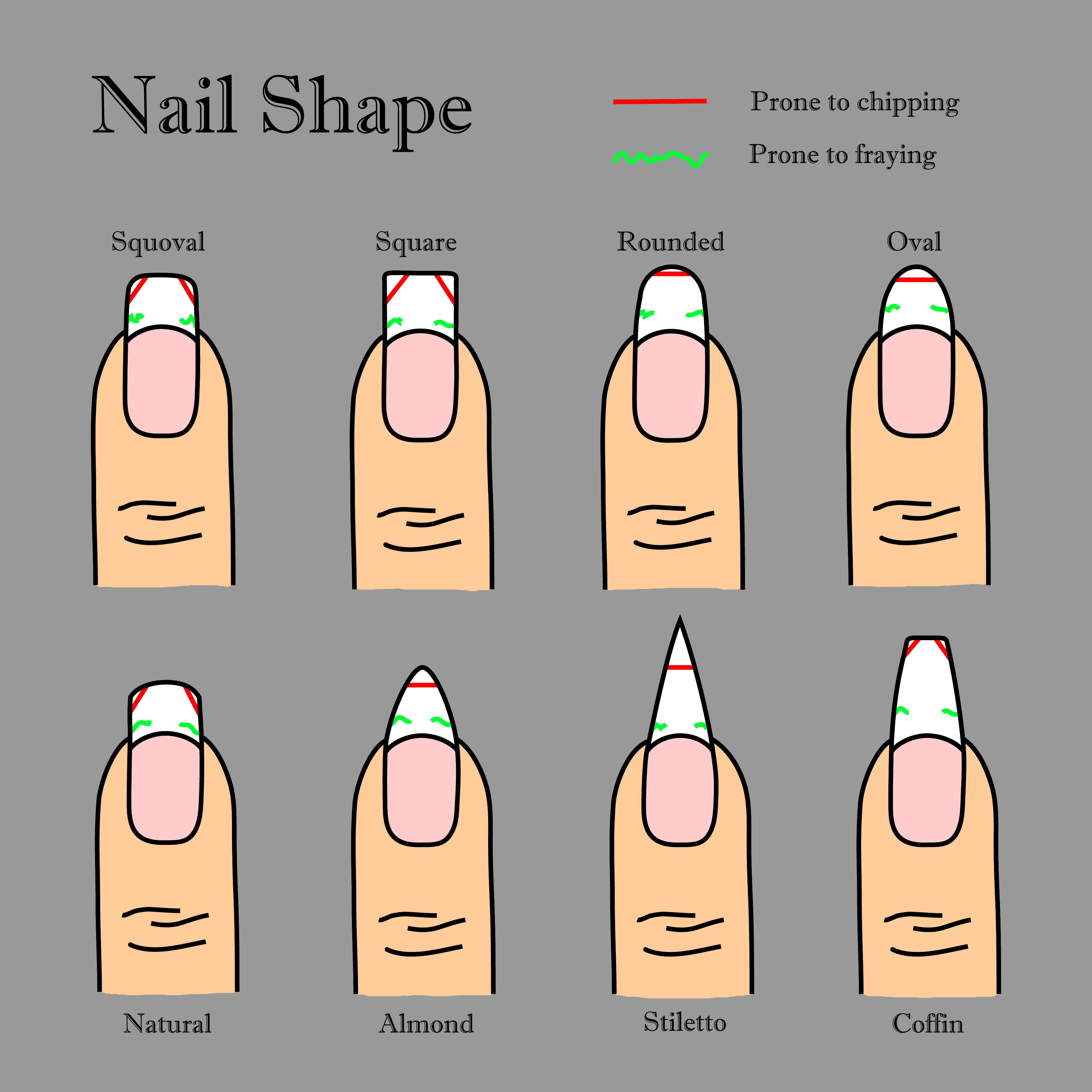 Nail Shapes Setfemale Manicure Different Nail Forms Salon Nails Type Trends  Stock Illustration - Download Image Now - iStock
